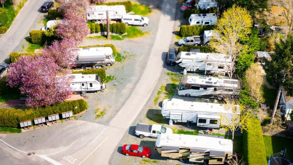 RVs lined up along rows with blooming trees in Fort Victoria RV Park.