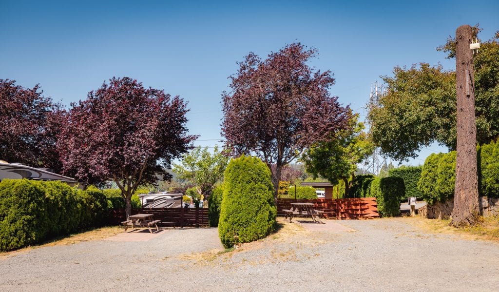 Entrance view of Fort Victoria RV Campground with trimmed hedge, trees, and paved driveway