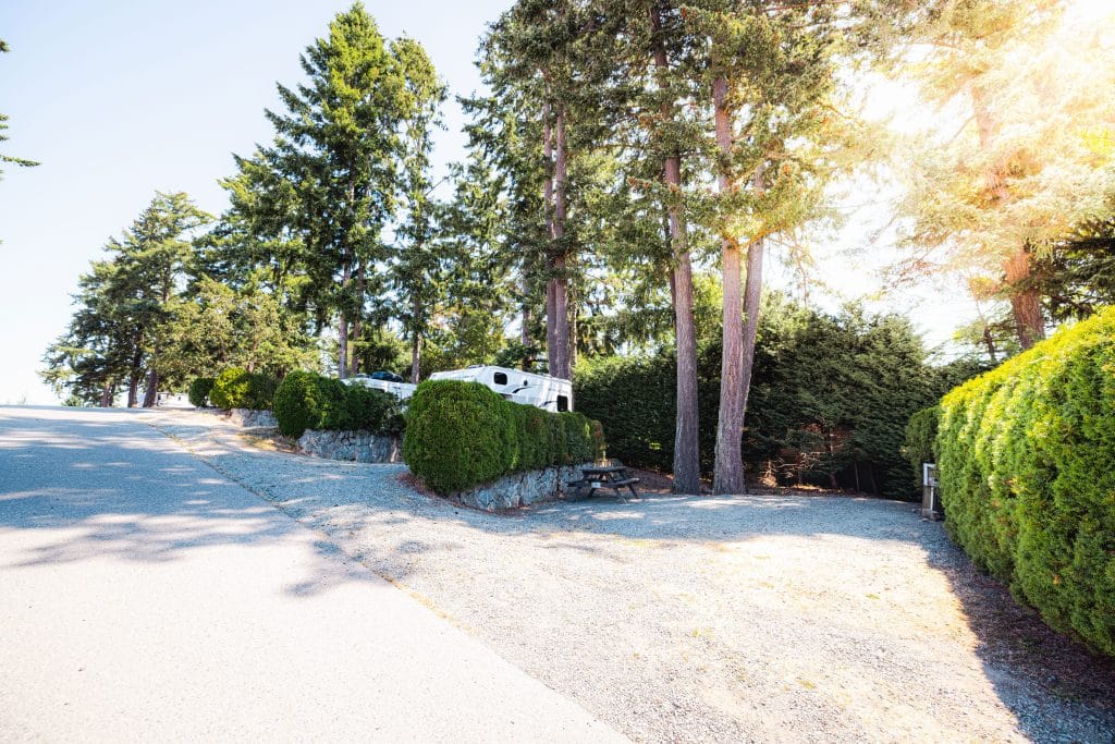 Scenic trees and landscaping at the RV park entrance.