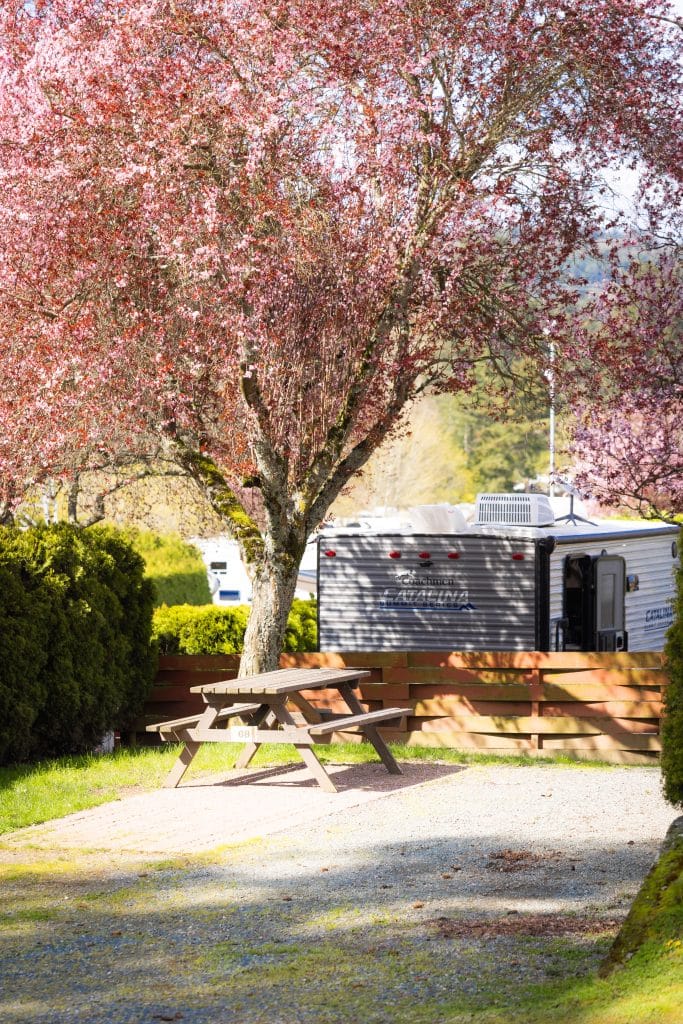 Picnic tables and RV camping area at Fort Victoria RV Park