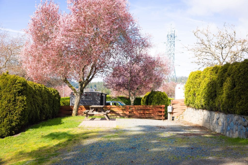 Picnic tables and RV camping area at Fort Victoria RV Park