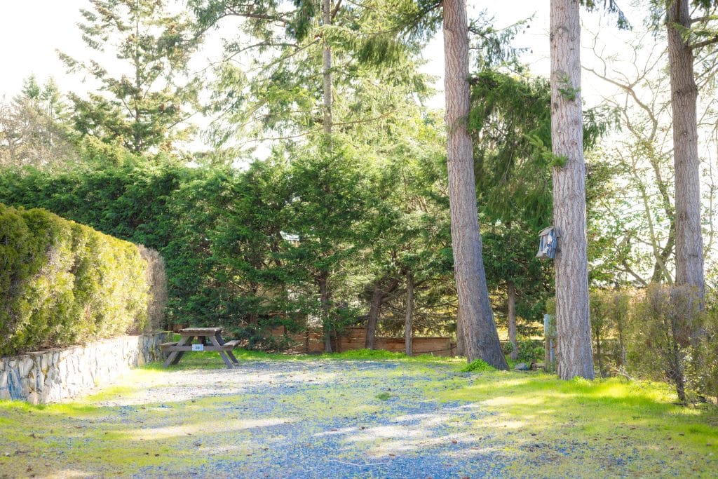 Playground equipment under tall trees in Fort Victoria RV Park.